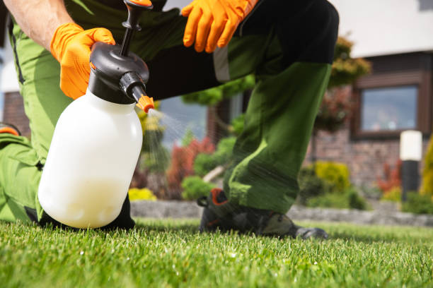 Best Pest Prevention Services  in Hugoton, KS