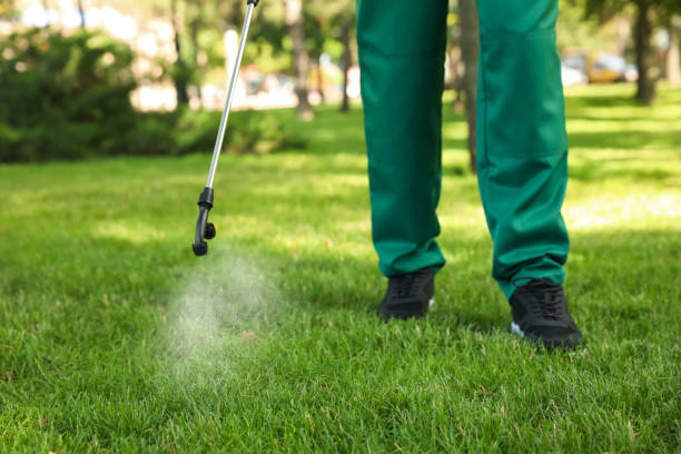 Wasp Removal Services in Hugoton, KS