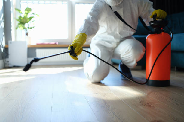 Best Termite Control Services  in Hugoton, KS