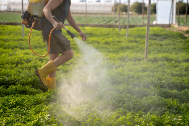 Best Pest Control for Homes  in Hugoton, KS