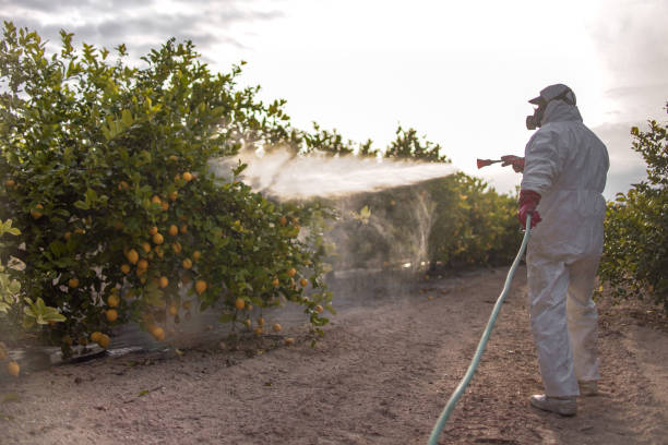 Best Mosquito Control Services  in Hugoton, KS