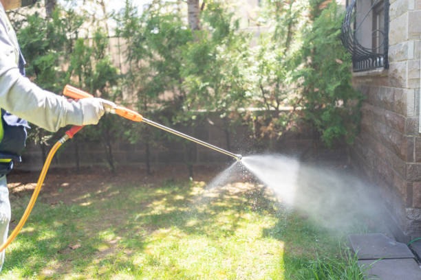 Best Wasp Removal Services  in Hugoton, KS