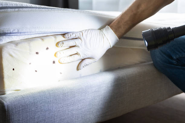 Pest Control Cost in Hugoton, KS