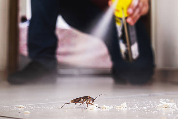 Best Best Pest Control Companies  in Hugoton, KS